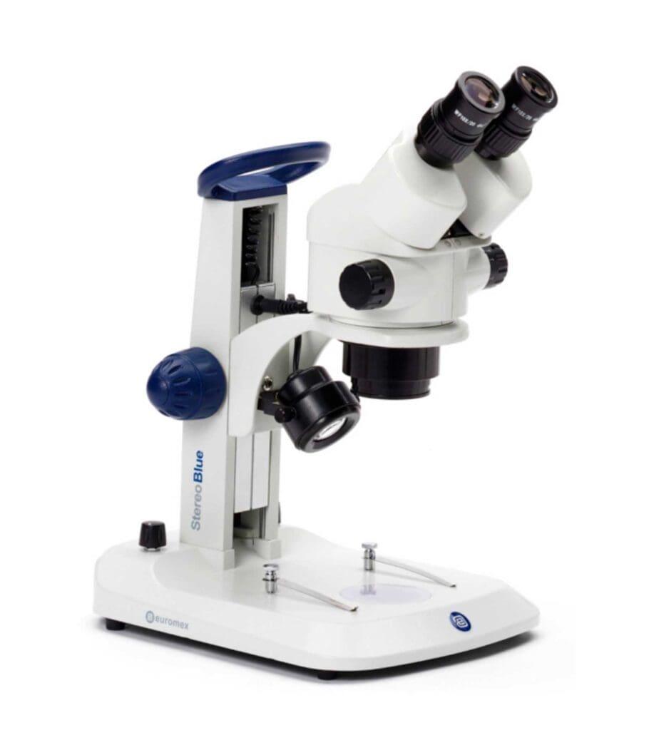 Stereo Microscopes for Sale Best Scientific UK