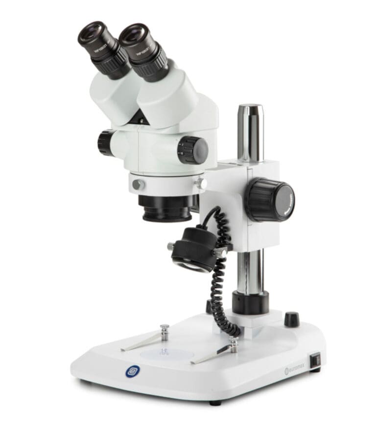 Stereo Microscopes for Sale Best Scientific UK
